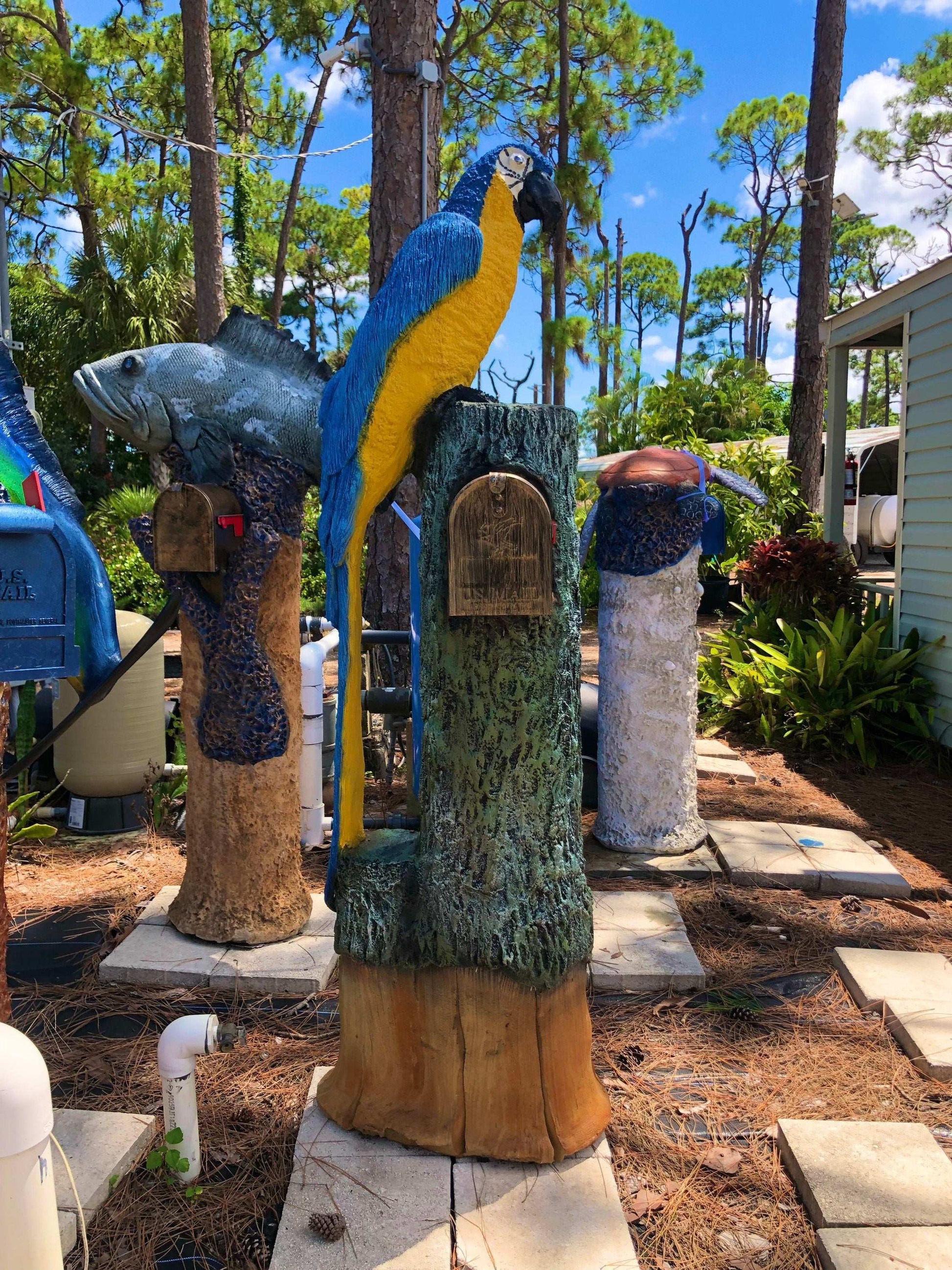 Blue and Yellow Macaw Parrot Mailbox Sculpture – Nautical Mailbox