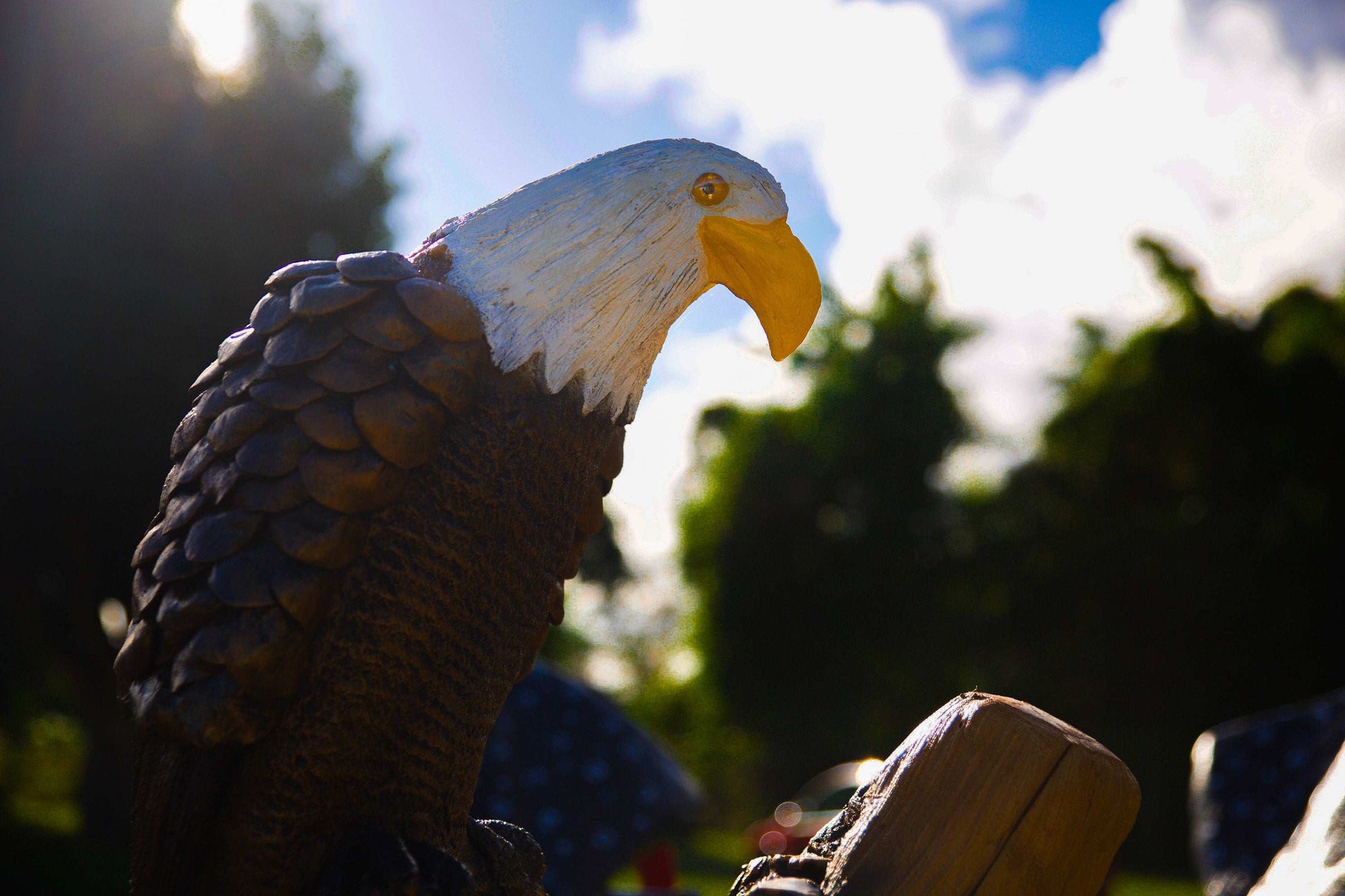 American Eagle Mailbox Sculpture – Nautical Mailbox