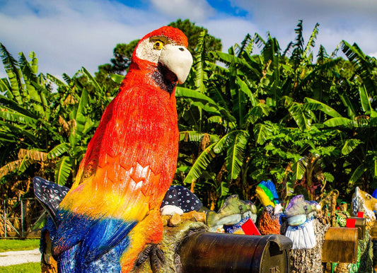 Red Macaw Parrot Mailbox Sculpture