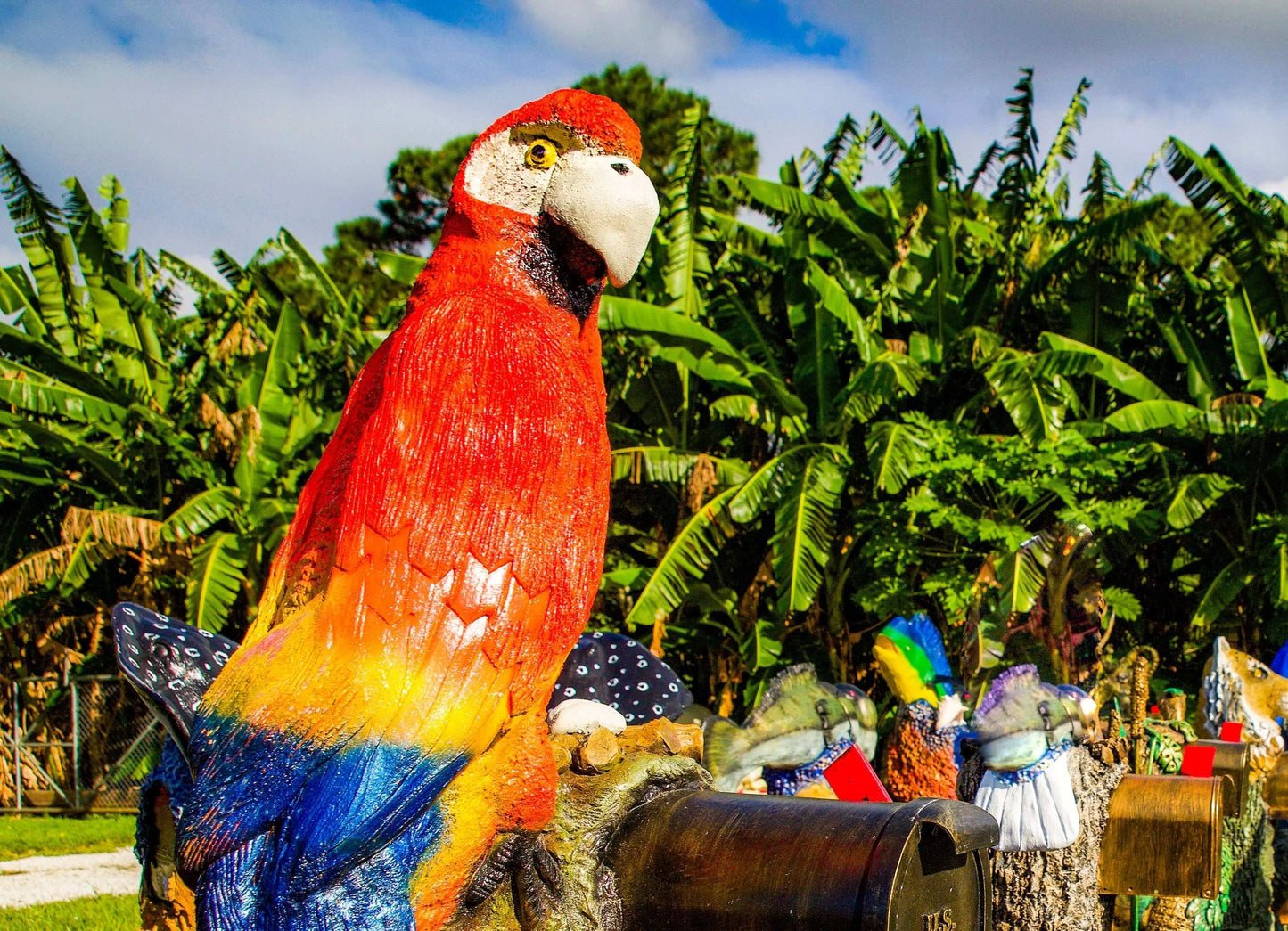 Red Macaw Parrot Mailbox Sculpture